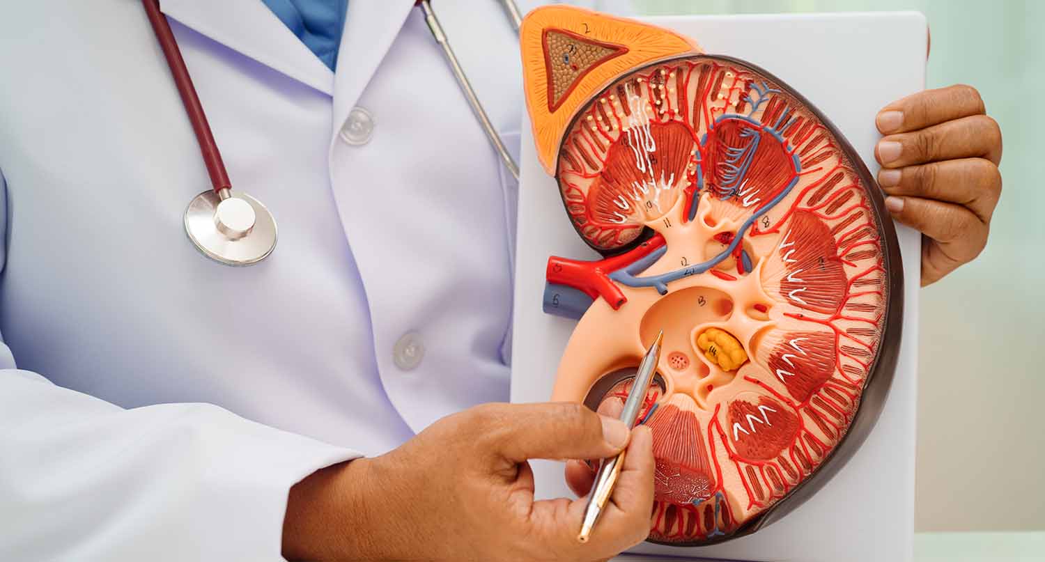 You are currently viewing 10 Early Kidney Stone Symptoms You Should Never Ignore